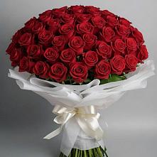 Букет 101 Красная роза Блэк Мэджик в Мытищах