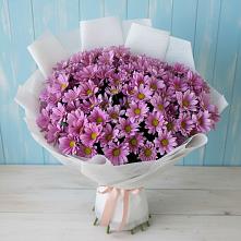 Букет цветов из:  Хризантемы #REPLACE_PRED# Мытищах