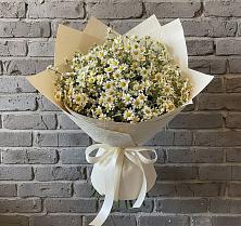 Букет цветов из:  Ромашки в Мытищах