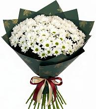 Букет цветов из:  Хризантемы в Мытищах