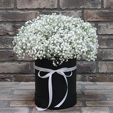 Цветочная композиция из Гипсофила в шляпной коробке в Мытищах
