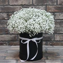 Цветочная композиция из Гипсофила в шляпной коробке в Мытищах