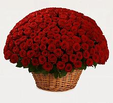 Премиум букет из: Розы в Мытищах